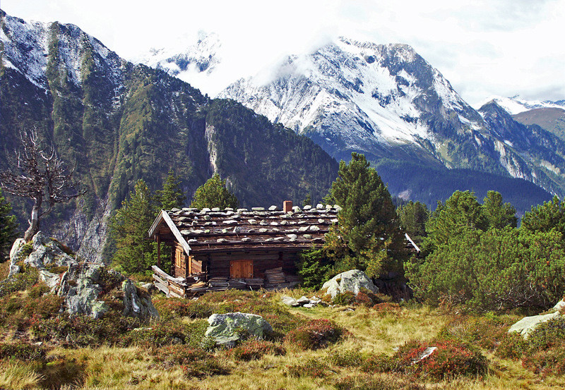 Hütte auf dem Ahorn