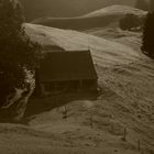 Hütte auf dem Alm