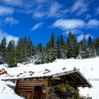 Hütte auf einer Alm