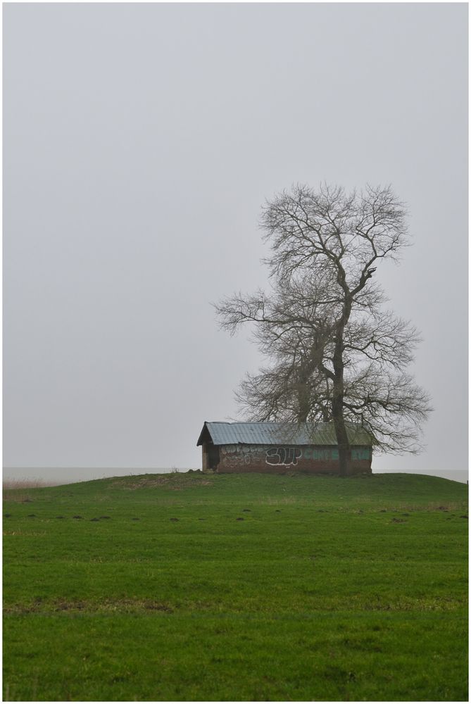 Hütte auf Hügel