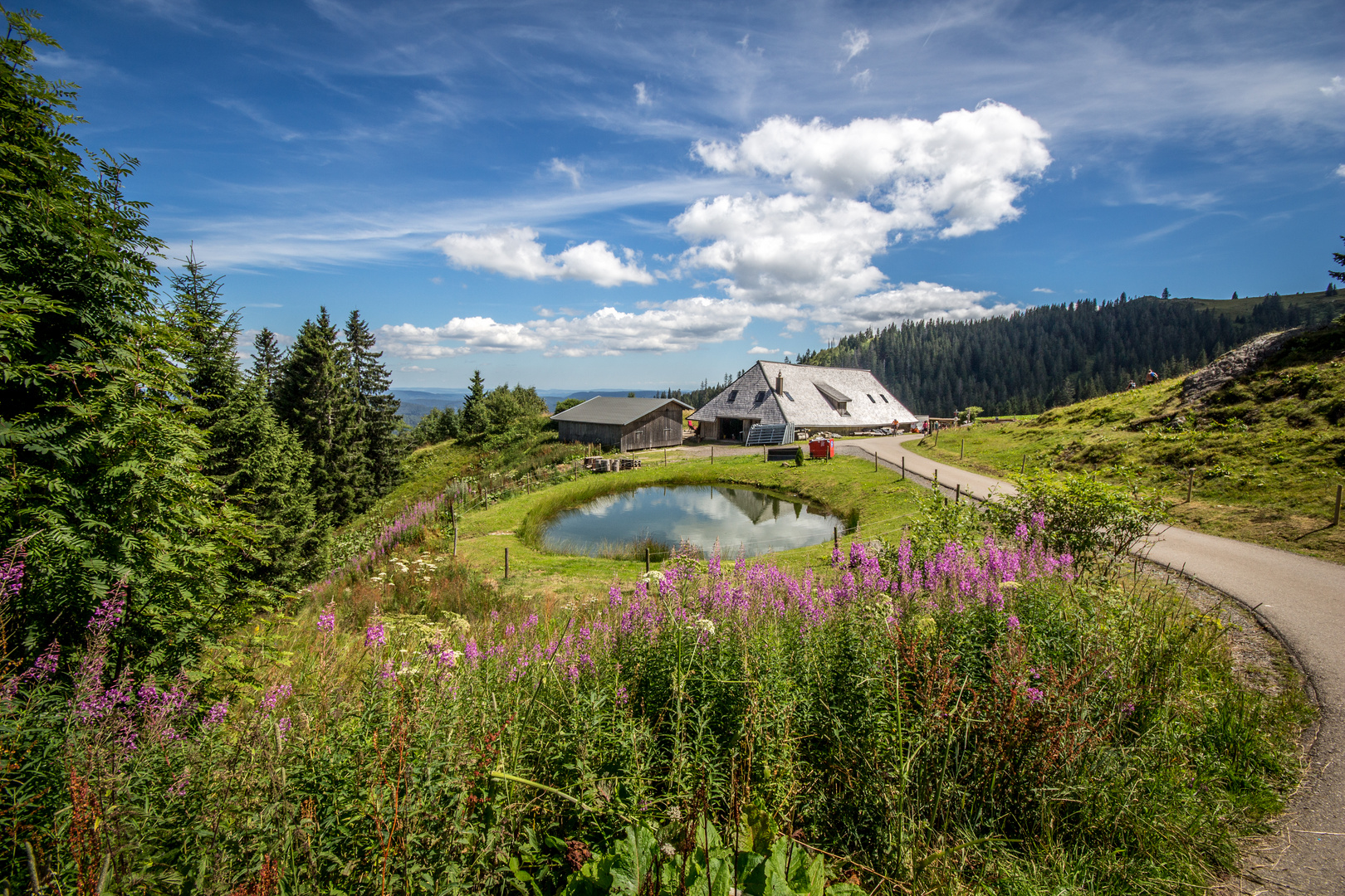 Hütte Feldberg