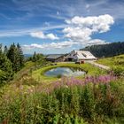 Hütte Feldberg