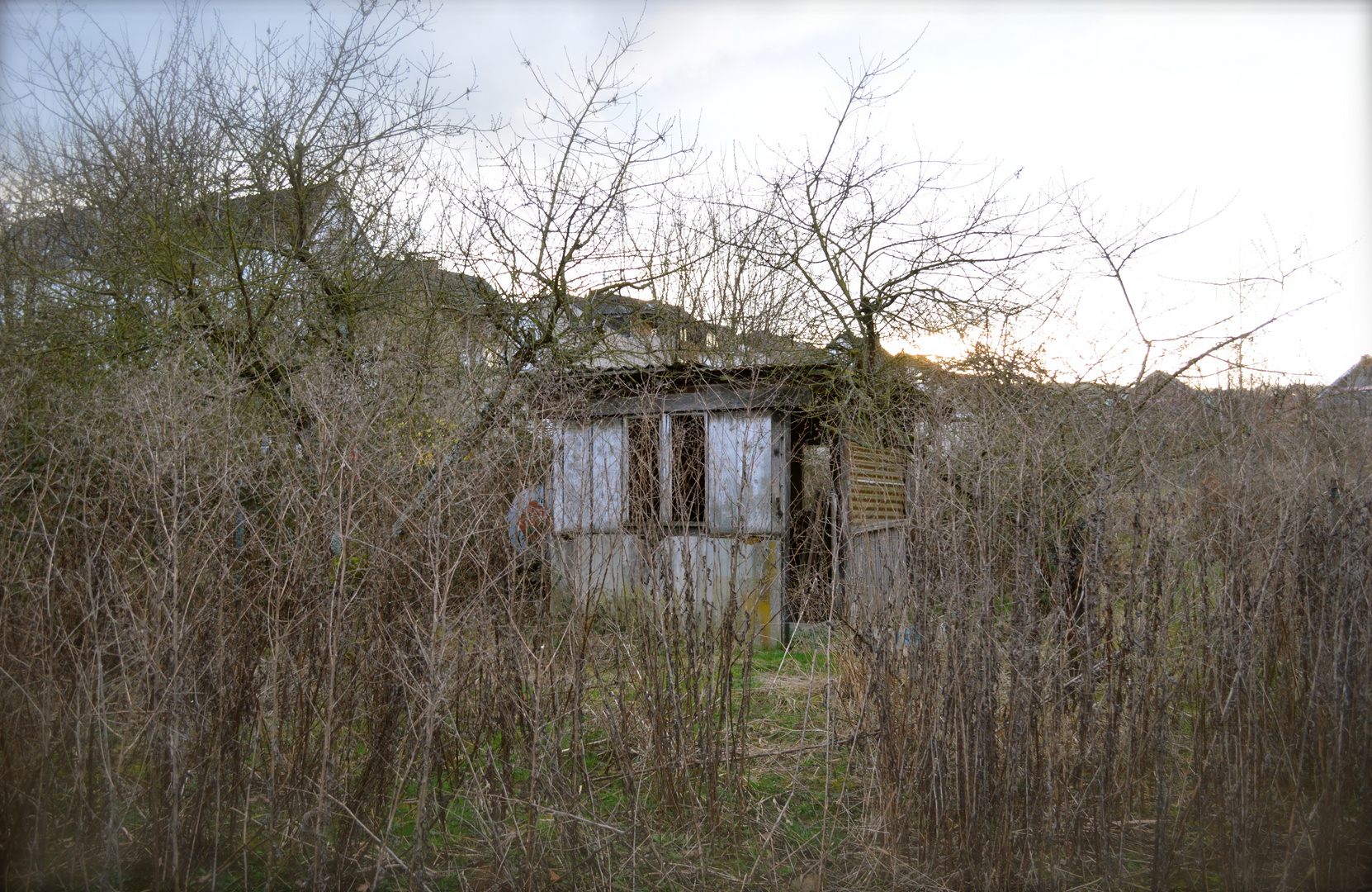 Hütte im Feld