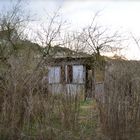 Hütte im Feld