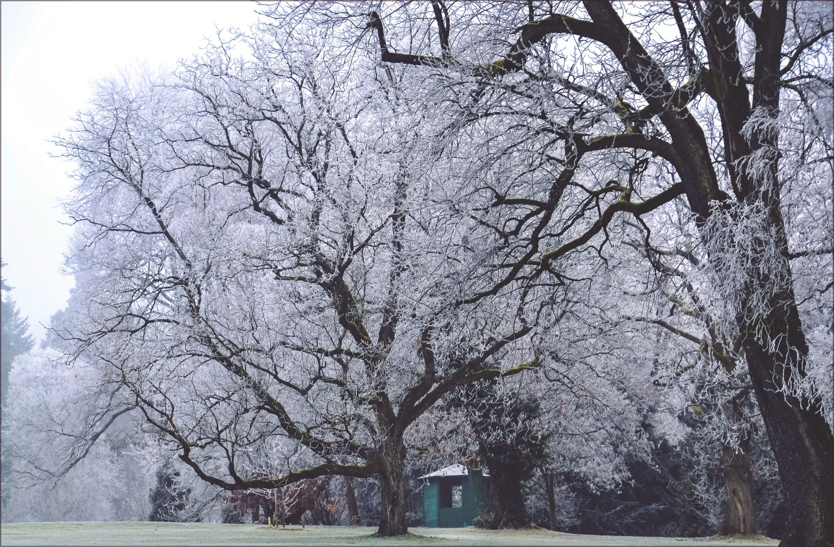 Hütte im Frost