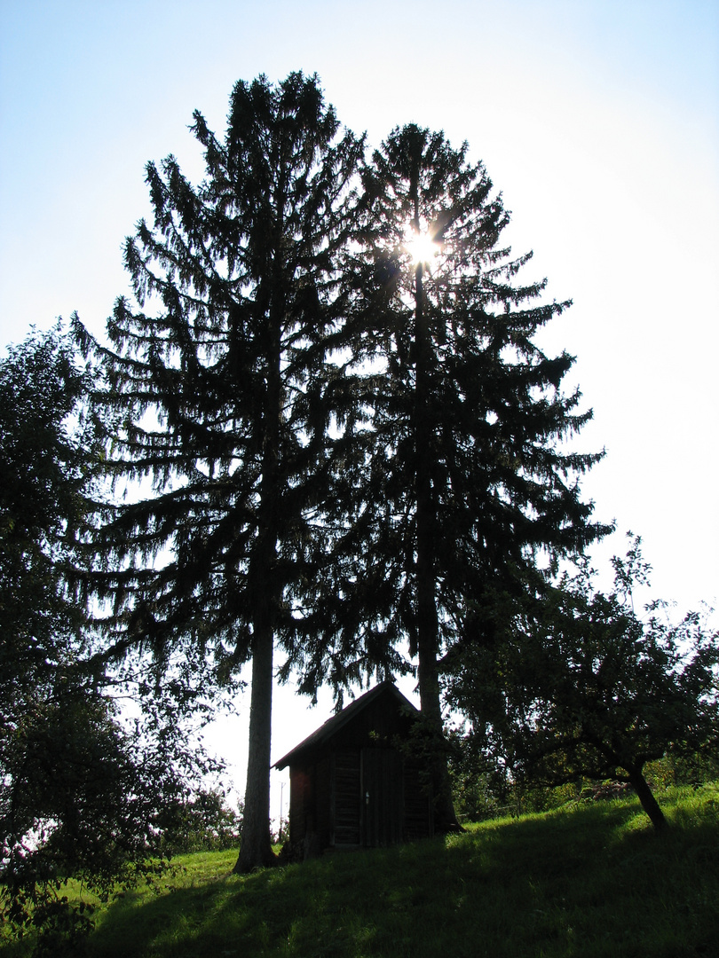 Hütte im Gegenlicht