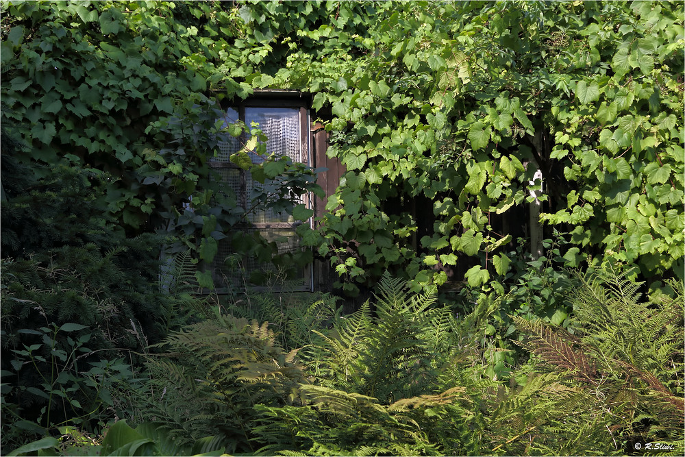 Hütte im Grünen