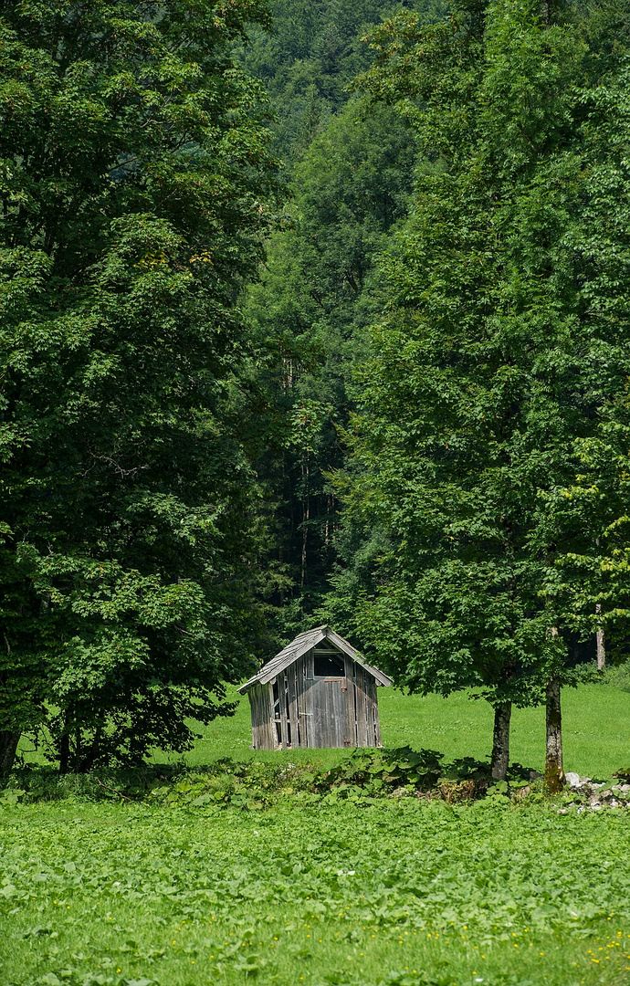 Hütte im Grünen