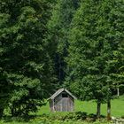 Hütte im Grünen