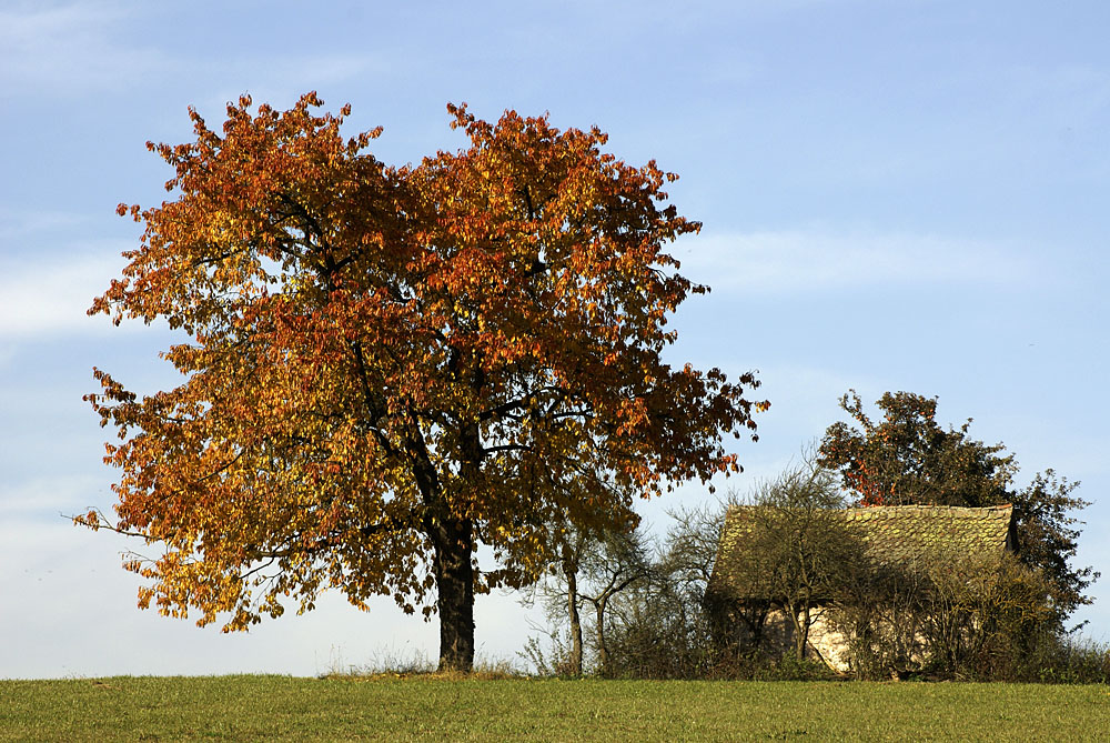 Hütte im Herbst