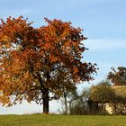 Hütte im Herbst