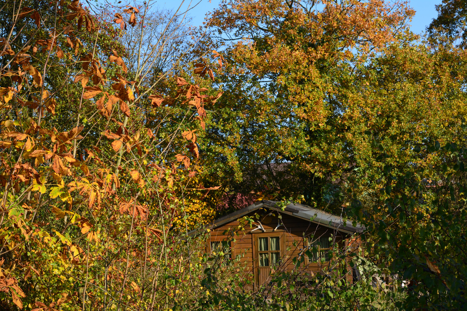 Hütte im Herbst