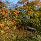 Hütte im Herbst