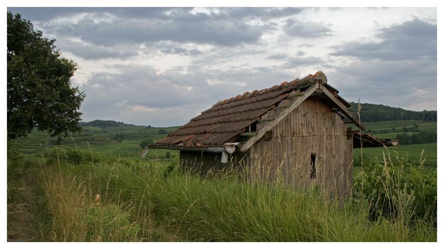 Hütte im Kaiserstuhl