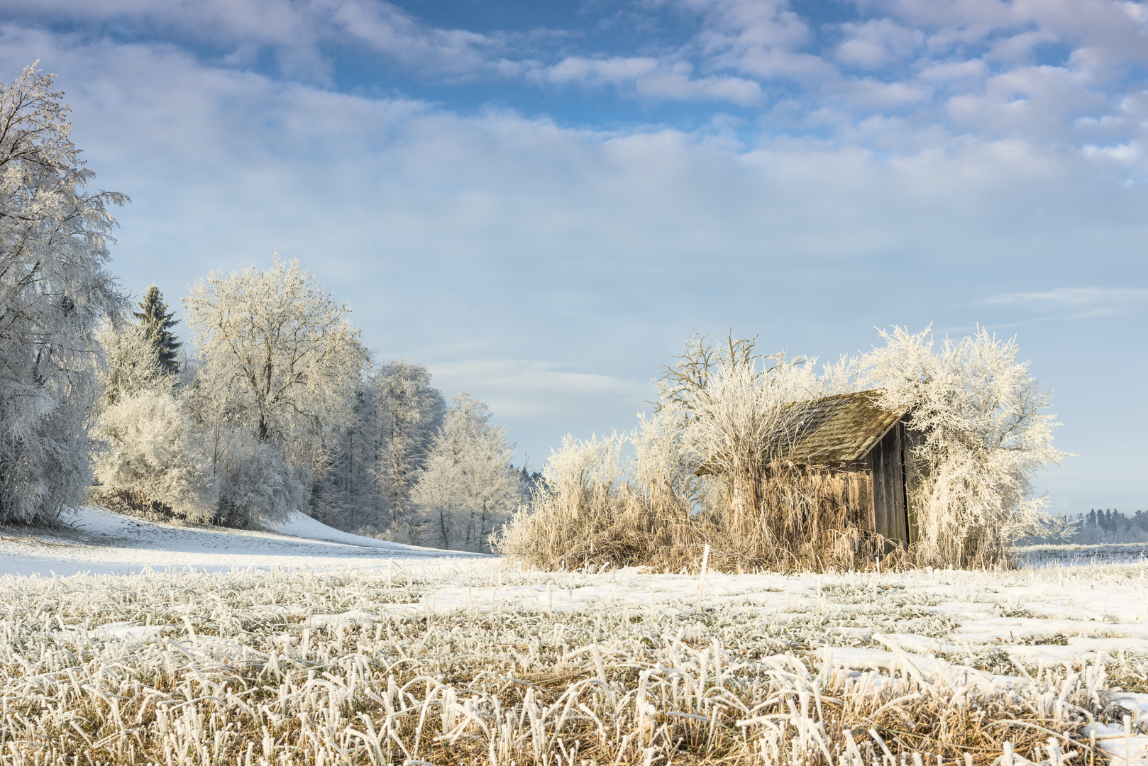 Hütte im Moor