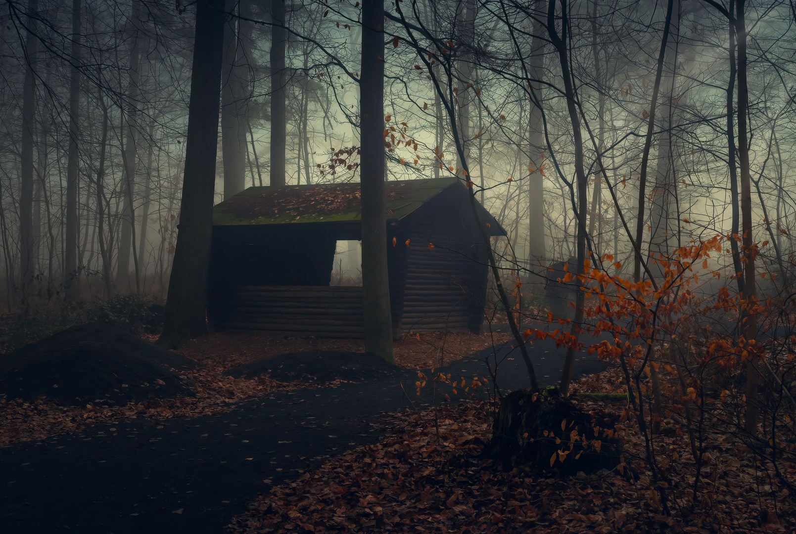 Hütte im morgendlichen Nebelwald