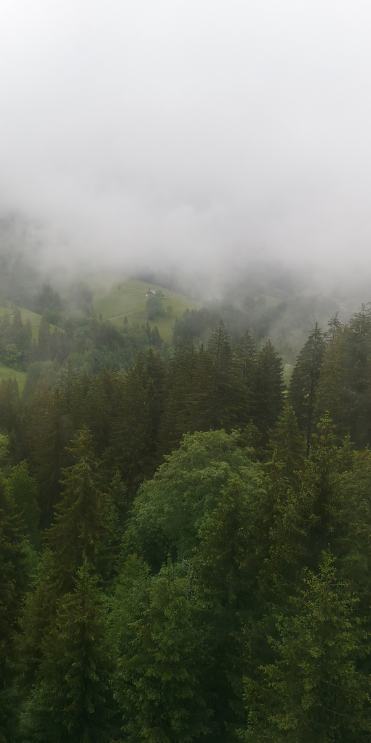 Hütte im Nebel 