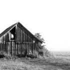 Hütte im Nebel