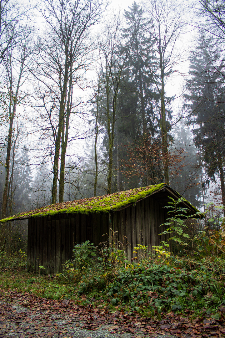 Hütte im Nebel