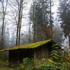 Hütte im Nebel