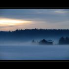 Hütte im Nebel