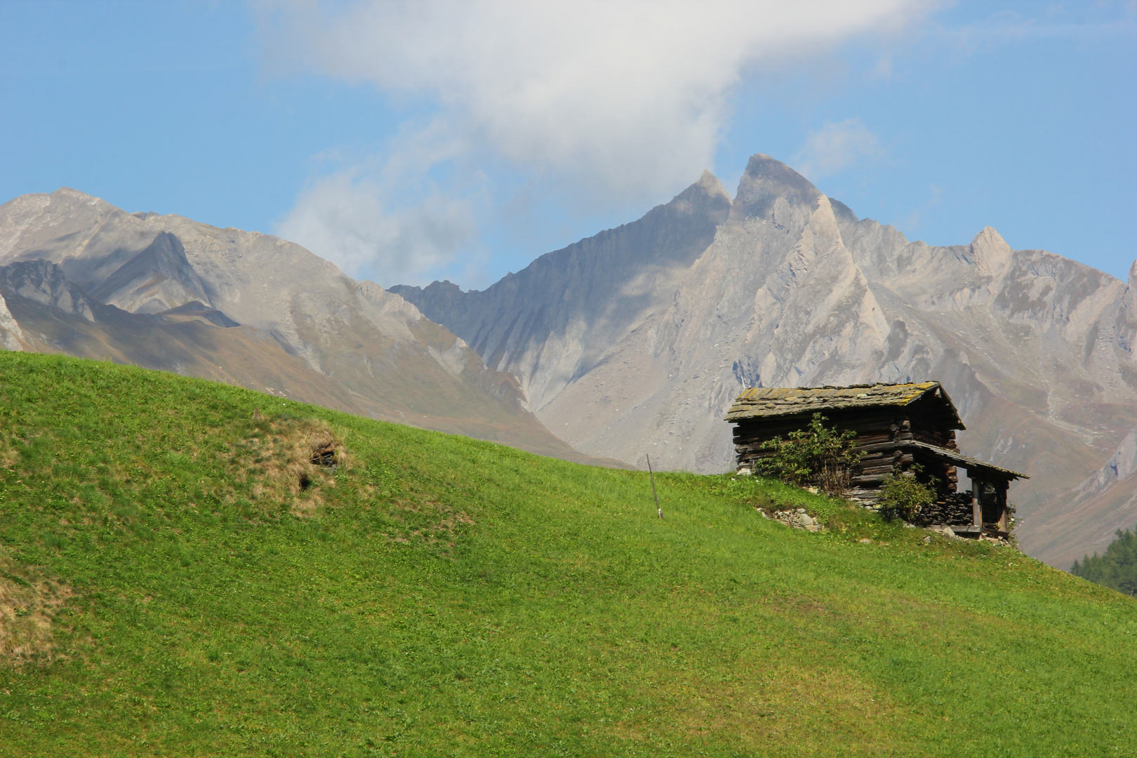 Hütte im Nichts