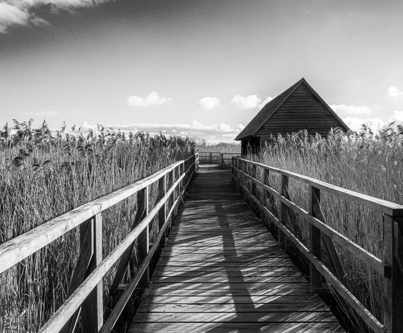 Hütte im Schilf