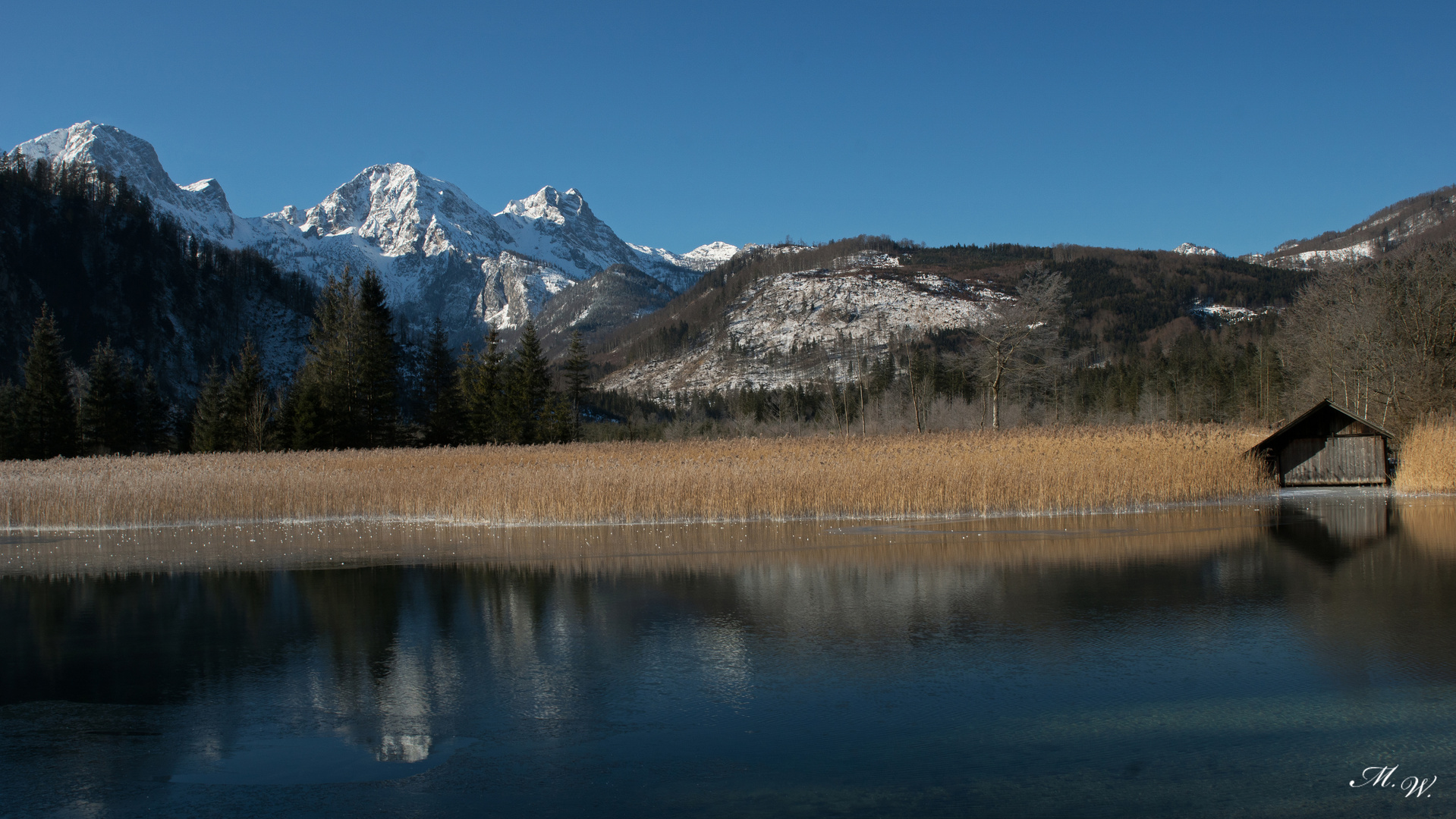 Hütte im Schilf