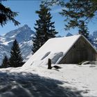 Hütte im Schnee