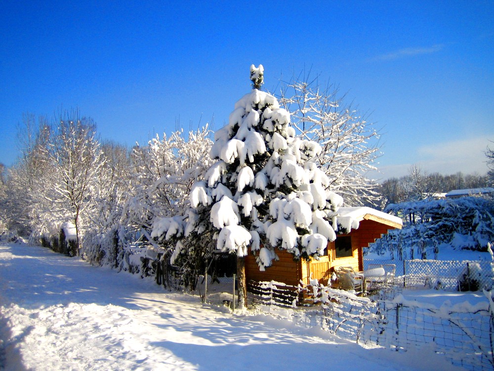 Hütte im Schnee