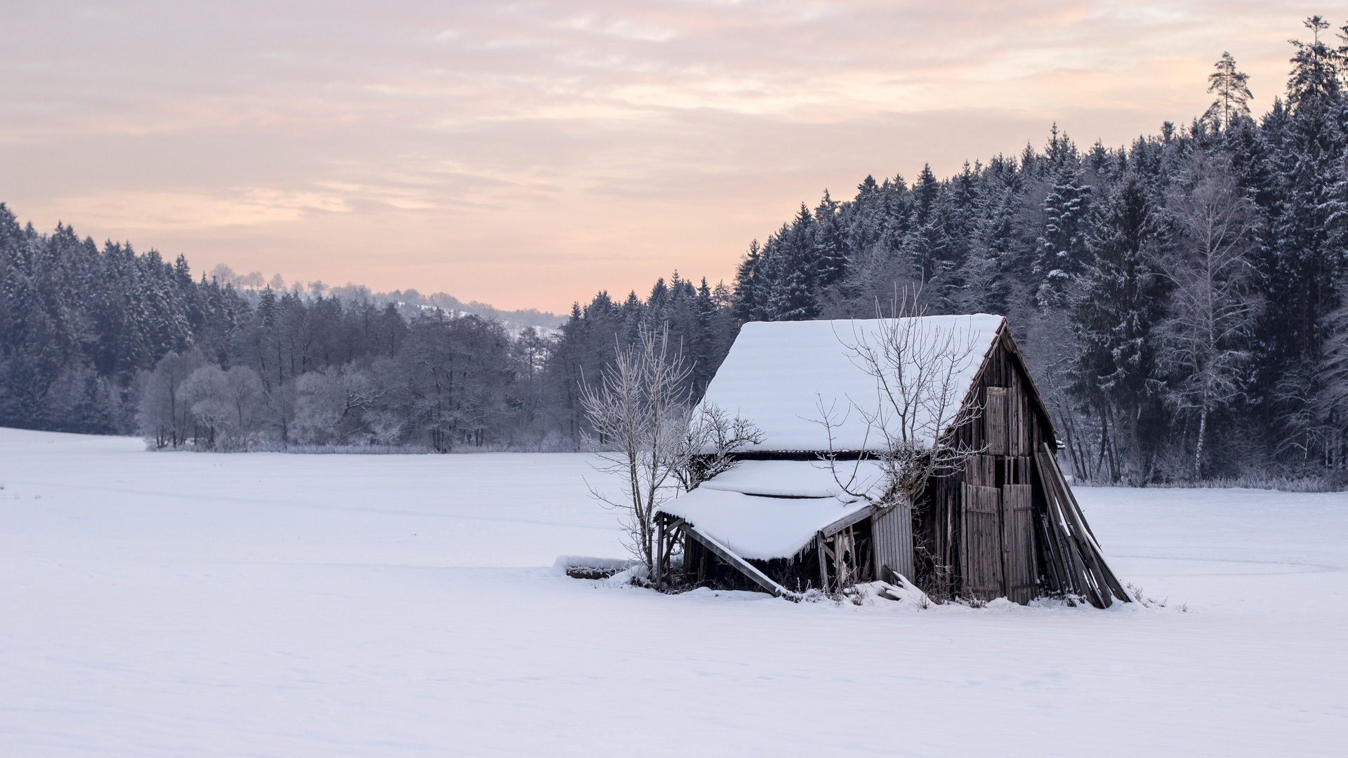 Hütte im Schnee II