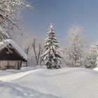 Hütte im Schnee III