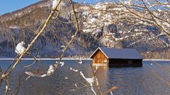 Hütte im see im Winter