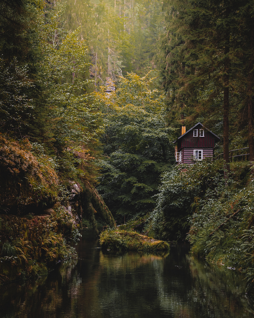 Hütte im Wald