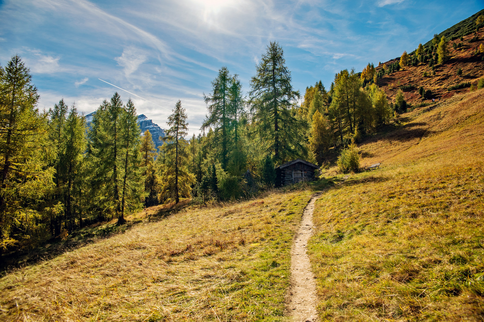 Hütte im Wald 2