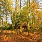 Hütte im Wald