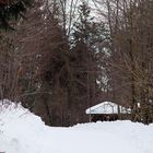 Hütte im Wald