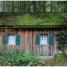 Hütte im Wald