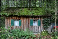 Hütte im Wald