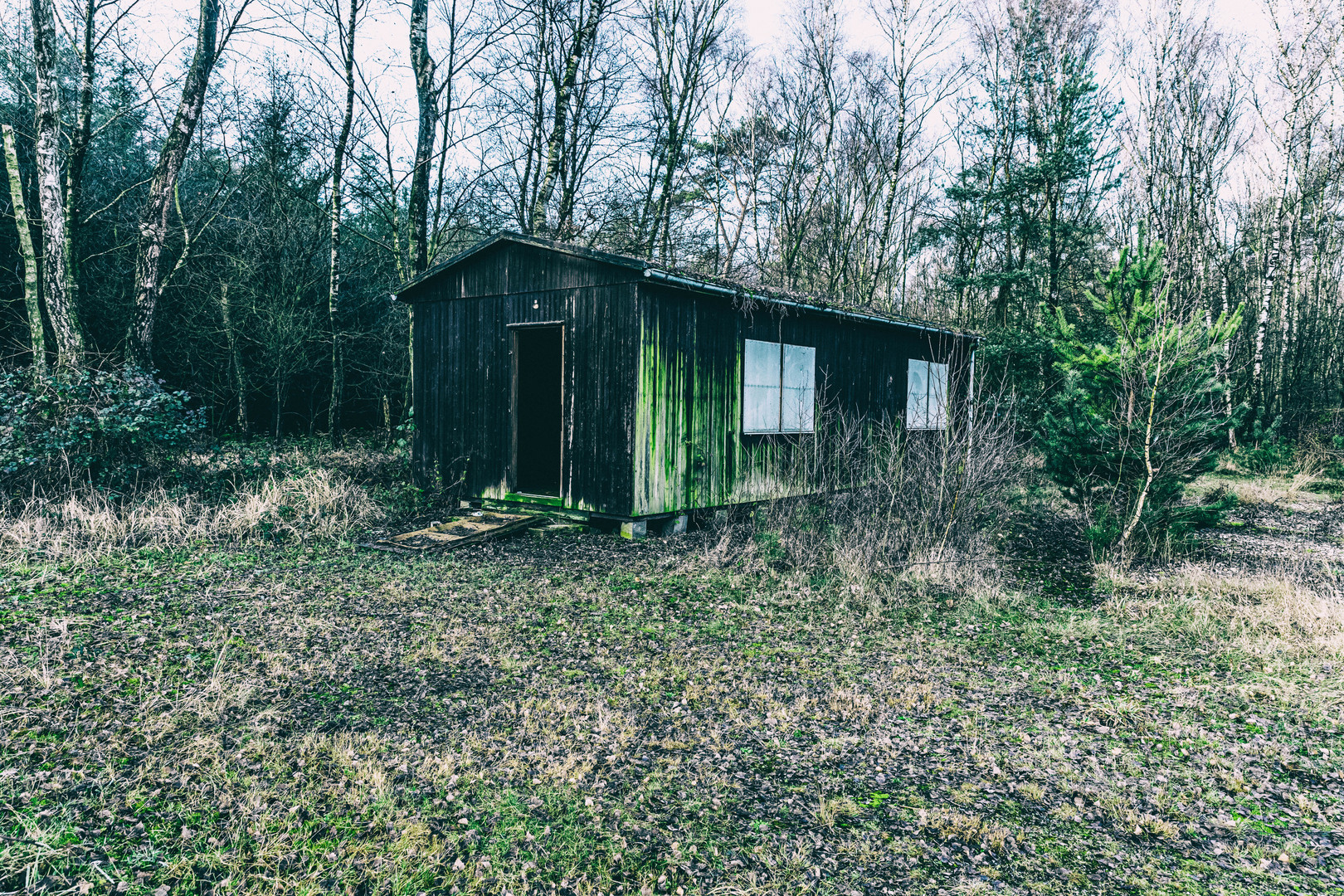 Hütte im Wald