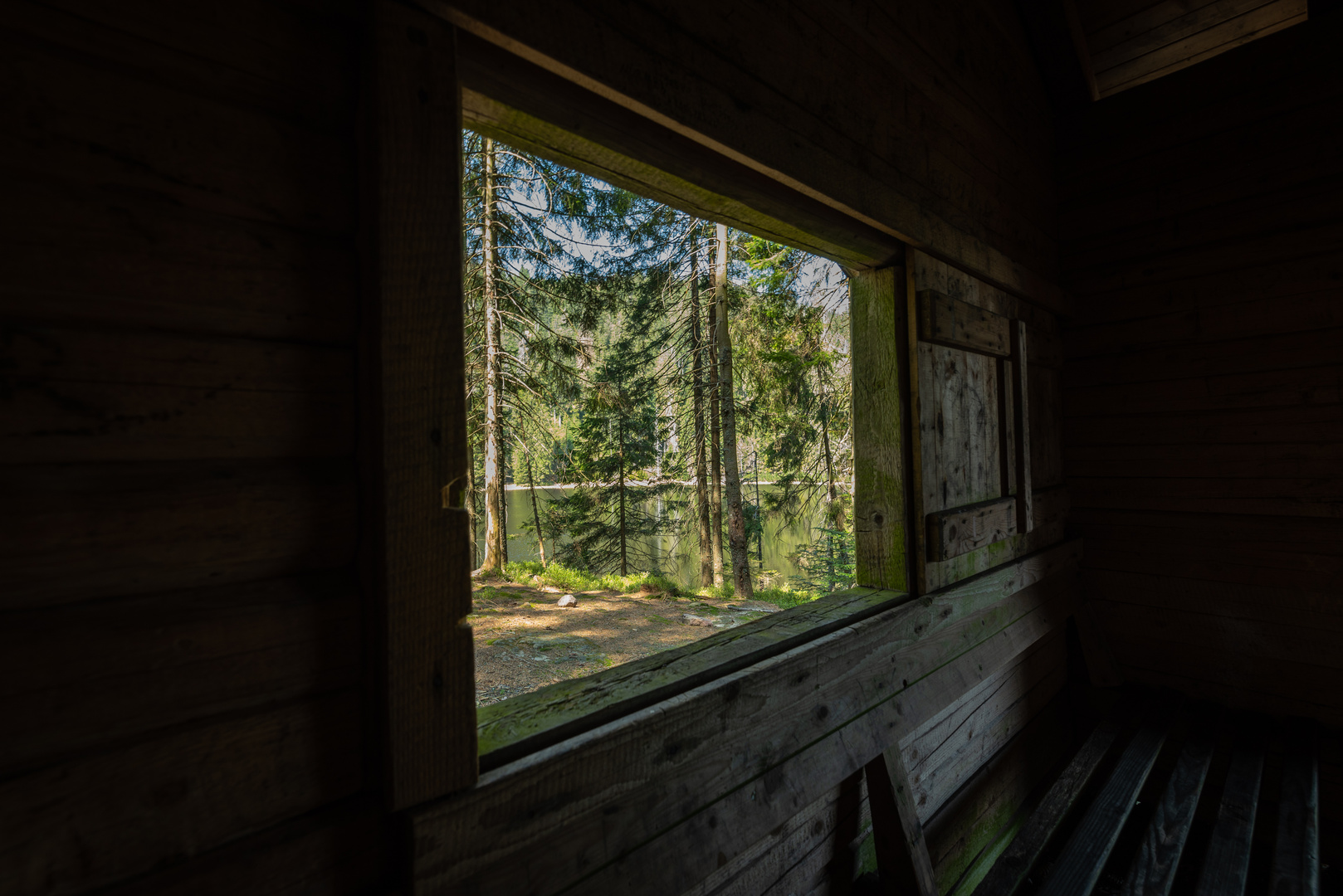 Hütte im Wald