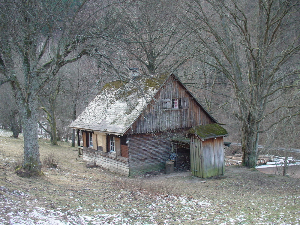 Hütte im Wald