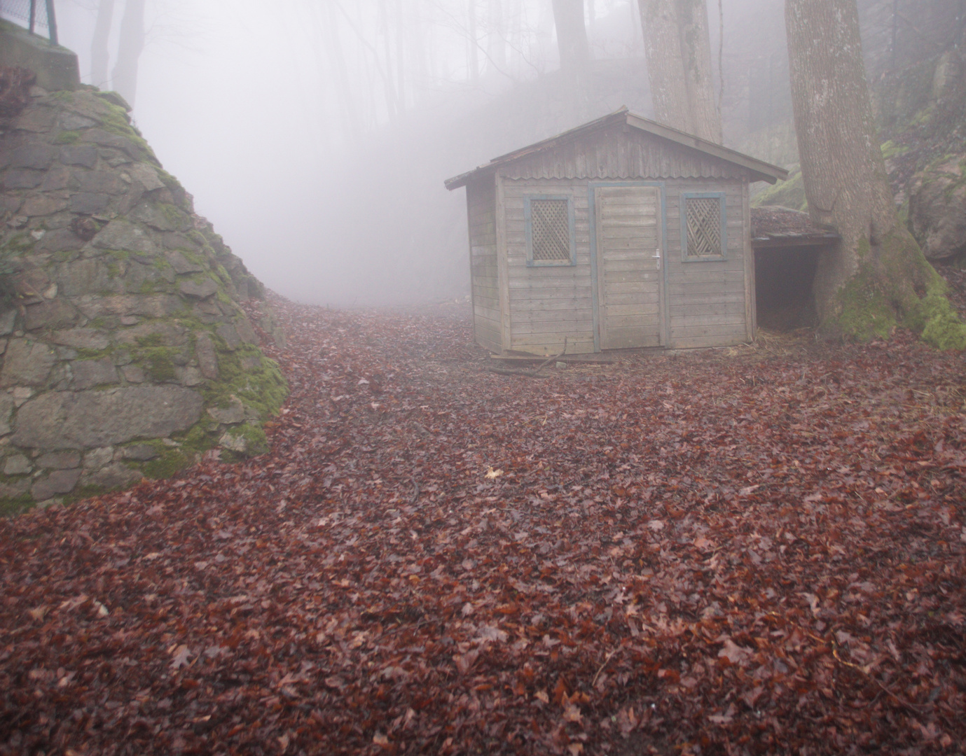 Hütte im Wald