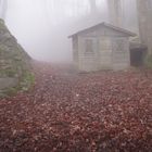 Hütte im Wald