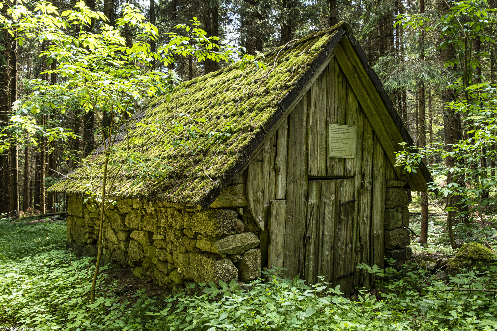 Hütte Im Wald Hütte Im Wald