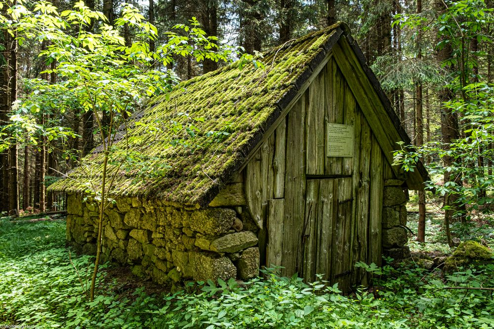 Hütte im Wald: Foto & Bild | architektur, gebäude, waldlandschaft