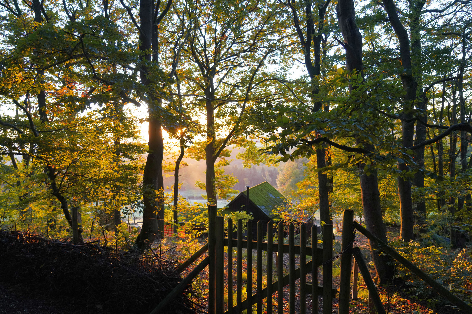 Hütte im Wald