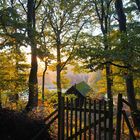 Hütte im Wald