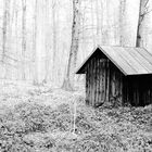 Hütte im Wald 