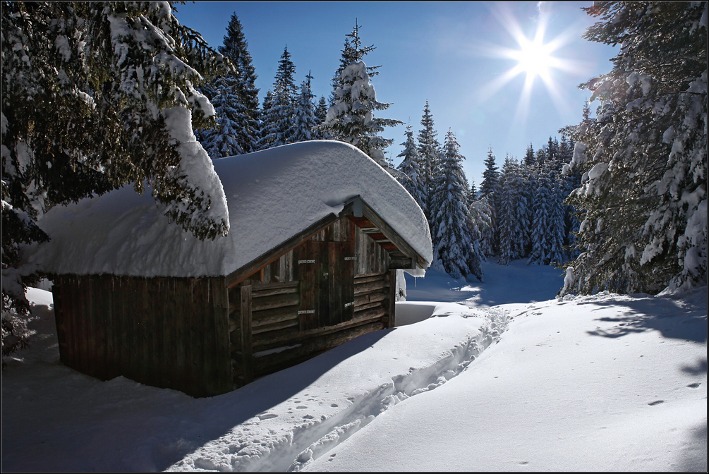 ~ Hütte im Wald II ~